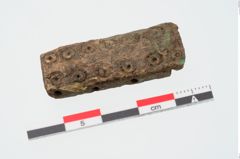 Foto von Beinschieber (NHMW-PRAE-023930)